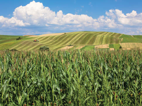 La gestione del rischio in agricoltura, a Barletta la presentazione del libro Edagricole