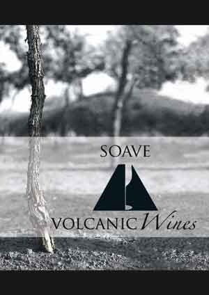 Volcanic-Wines copertina