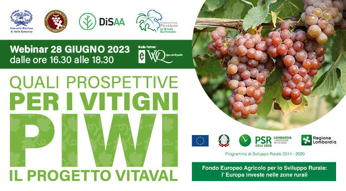 Webinar: Quali prospettive per i vitigni Piwi